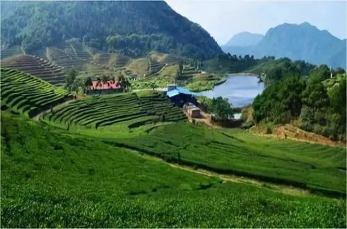 地质灾害危险性评估地面沉降等地质灾害的可能性和建设工程引发地质灾害的可能性作出评估